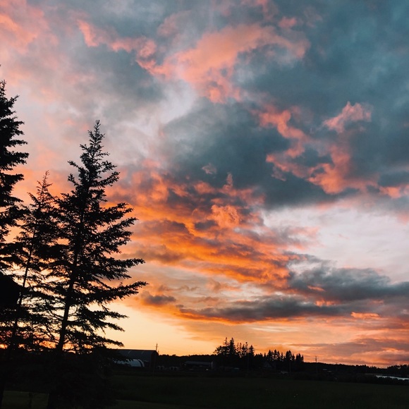 Meet your Posher, Kailey - Picture 1 of 1